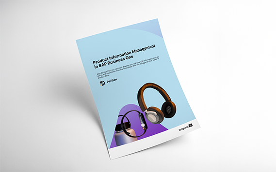 Muckup_Perfion_and_SAPB1_Factsheet_EN