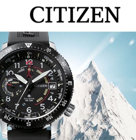 Citizen Customer Quote